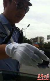 交警爆料行凶视频最新,行凶视频直击犯罪现场，真相令人震惊